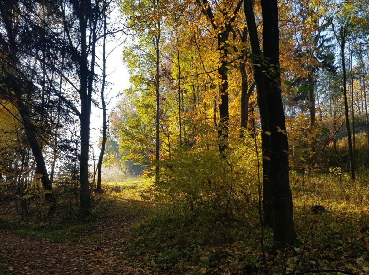 Pokoje Goscinne Art- Dworek Кудова-Здруй Экстерьер фото